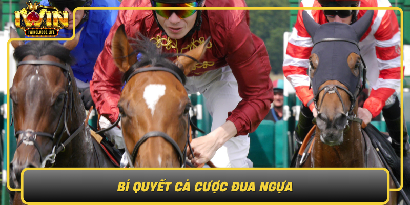 Bi Quyet Ca Cuoc Dua Ngua Toi Uu Hoa Chien Thuat Cung Iwin