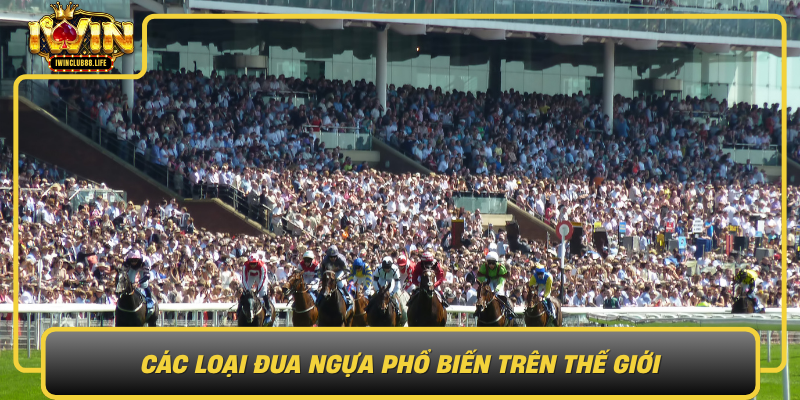 Cac Loai Dua Ngua Pho Bien Tren The Gioi