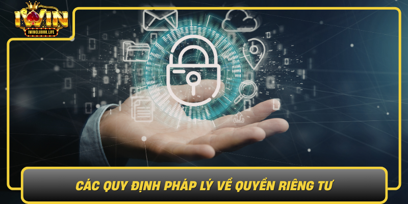 Cac Quy Dinh Phap Ly Ve Quyen Rieng Tu1