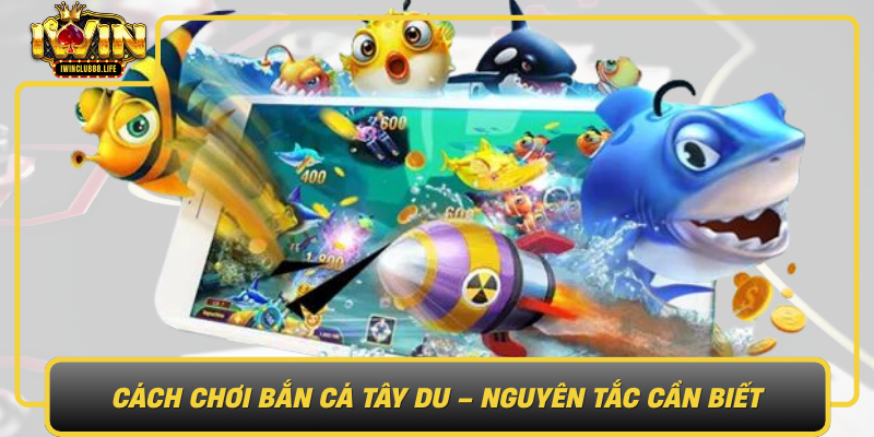 Cach Choi Ban Ca Tay Du Nguyen Tac Can Biet