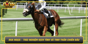 Dua Ngua Trai Nghiem Kich Tinh Va Tinh Than Chien Dau