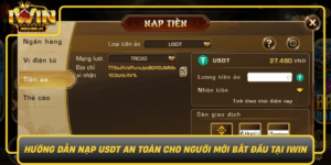 Huong Dan Nap Usdt An Toan Cho Nguoi Moi Bat Dau Tai Iwin0