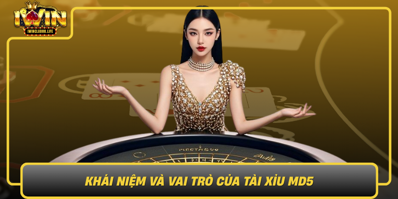 Khai Niem Va Vai Tro Cua Tai Xiu Md5