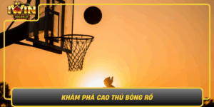 Kham Pha Cao Thu Bong Ro Dinh Cao The Thao Dien Tu Iwin