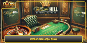 Kham Pha Mau Binh Tro Choi Bai Kinh Dien Khong The Bo Lo